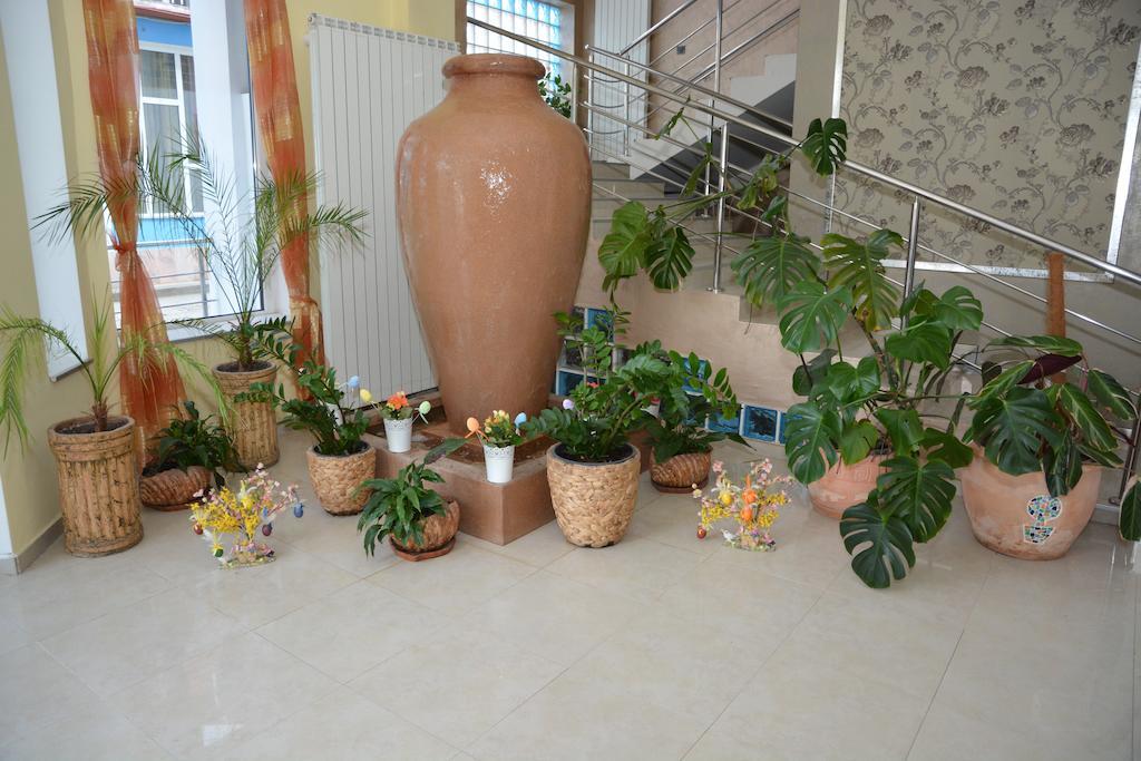 Hotel Golden Spirit Baile Herculane Bagian luar foto