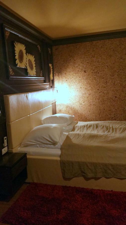 Hotel Golden Spirit Baile Herculane Bagian luar foto
